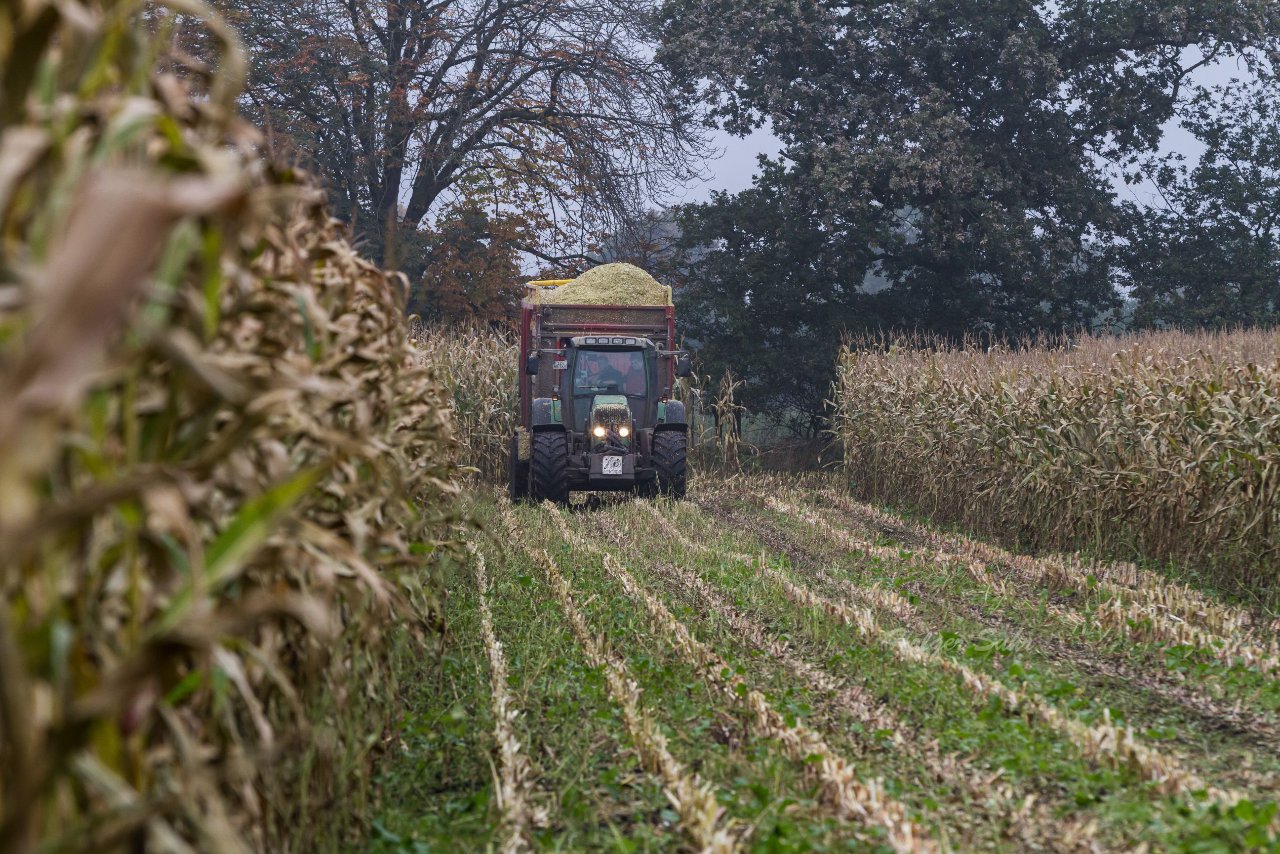 Bild 112 - Biogas am 21.10.12